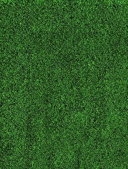 Aradığın Spor Kulübünü Bul